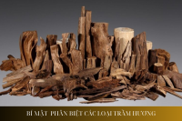 Bí Mật Phân Biệt Các Loại Trầm Hương