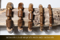 Trầm Tốc Là Gì? Bí Quyết Phân Biệt Các Loại Trầm Tốc