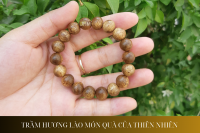 Trầm hương Lào: Món quà của thiên nhiên